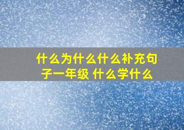 什么为什么什么补充句子一年级 什么学什么